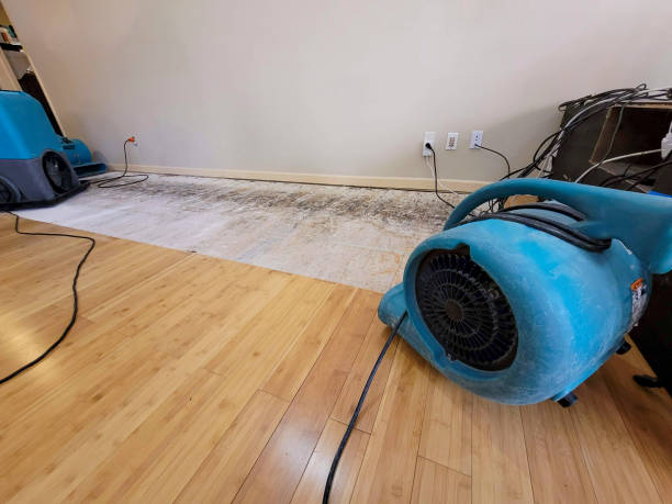 Professional Water Extraction technician working in Mount Vernon, NY